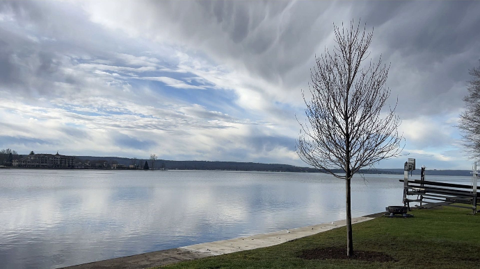 Arrowwood Landscaping Chautauqua County Tree plantings